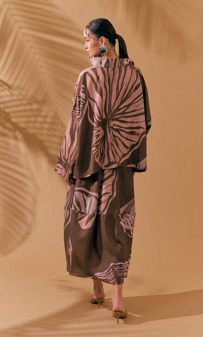 Rare Set - Brown Shell